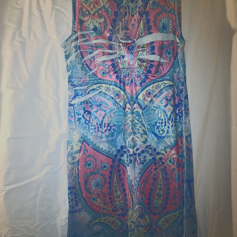 Kiara gorgeous multi colored dress